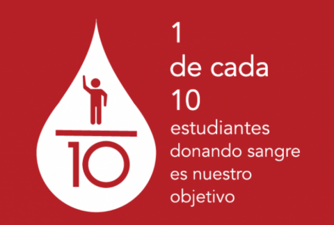1 de cada 10 personas internadas en el Hospital de Clínicas necesita transfusiones de sangre
