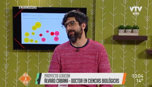 cabana en VTV