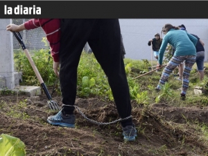 Taller de huerta del colectivo Nada Crece a la Sombra, en el Hogar Colibrí. (archivo, mayo de 2016) Taller de huerta del colectivo Nada Crece a la Sombra, en el Hogar Colibrí. (archivo La Diara, mayo de 2016)