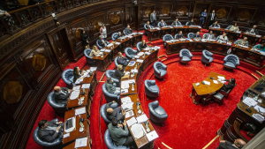   Sesión del Senado durante la votación de la ley de tenencia compartida, el 5 de mayo.  Foto: Ernesto Ryan