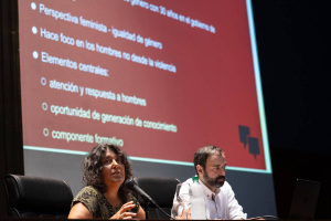 "Casi la mitad de los usuarios que llamaron a la línea de la IM de escucha para hombres plantearon “situaciones conflictivas” con la pareja"