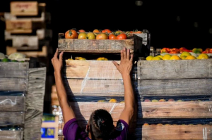 Frutas y verduras: consumo por debajo del ideal en Uruguay.