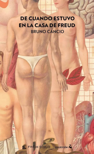 "Bruno Cancio: literatura, cine, psicoanálisis en la pantalla y en su nuevo libro"