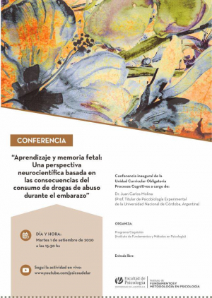Una perspectiva neurocientífica basada en las consecuencias del consumo de drogas de abuso durante el embarazo