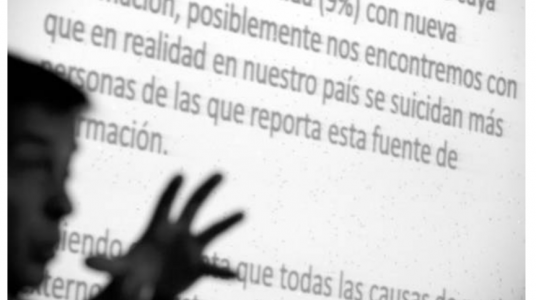 Impresión de pantalla de la nota publicada en el portal de La Diaria