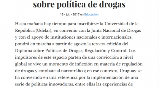 Impresión de pantalla de la nota publicada en el portal de La Diaria