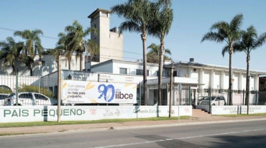 Instituto Clemente Estable (Adhoc ©Ricardo Antúnez)