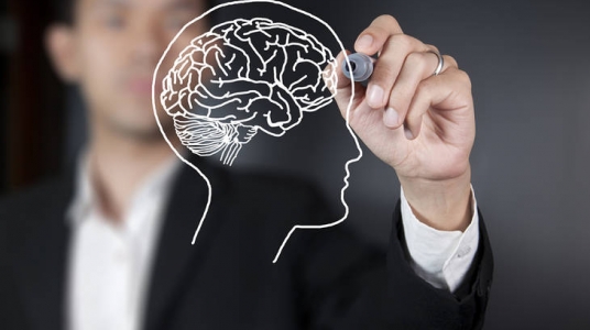 Neurociencia. Ilustración tiempoargentino.com.ar