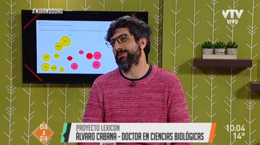 cabana en VTV