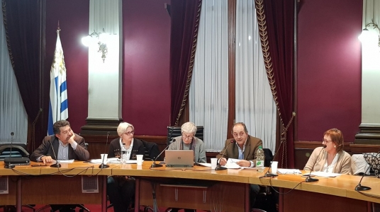 Foto: Andrea Cammarano, UCUR, 26/06/19