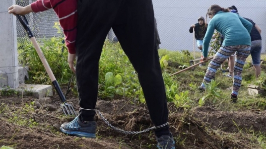 Taller de huerta del colectivo Nada Crece a la Sombra, en el Hogar Colibrí. (archivo, mayo de 2016) Taller de huerta del colectivo Nada Crece a la Sombra, en el Hogar Colibrí. (archivo La Diara, mayo de 2016)