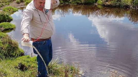 "Vecinos de Guichón denuncian contaminación del arroyo Santana por efluentes del vivero de UPM "