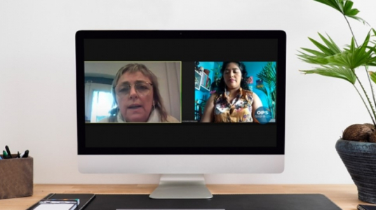 Webinar Lecciones aprendidas en la reducción del embarazo no intencional en adolescentes en América Latina y el Caribe ¿Vamos en el camino correcto?