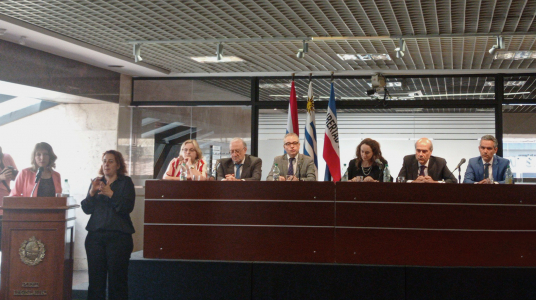 Presentaron el instrumento “Estándares de derechos humanos para la evaluación del cuidado de la salud mental de niños, niñas y adolescentes”