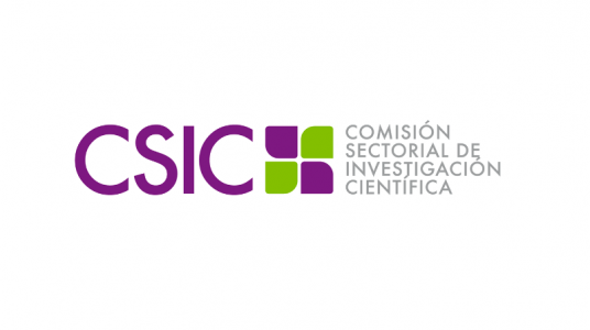 Calendario llamados 2023 Prorrectorado de Investigación