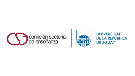 Aplicación de la Nueva Escala de Calificaciones en la Udelar