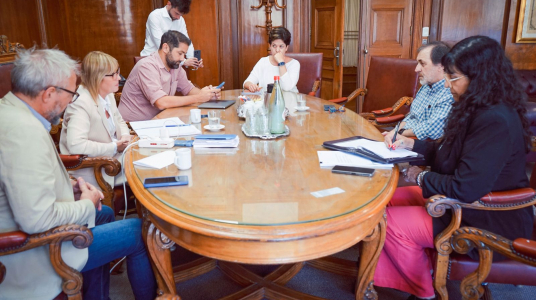 Decano Irrazábal se reunió con autoridades del Ministerio de Salud Pública para fortalecer la colaboración en salud mental 