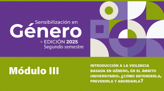 Imagen de difusión del Curso modular CAEG: Módulo III – Introducción a la violencia basada en género