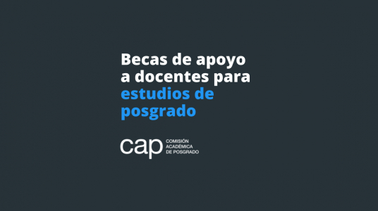 Becas de apoyo a docentes para estudios de posgrado en la Udelar