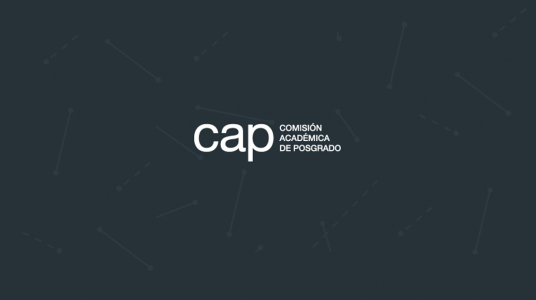 Becas de apoyo para la finalización de estudios de posgrado en la Udelar