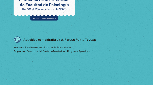 afiche de difusión de la actividad