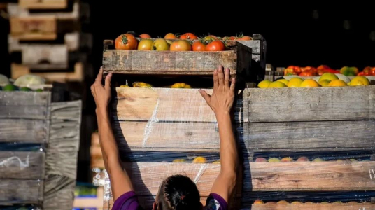Frutas y verduras: consumo por debajo del ideal en Uruguay.