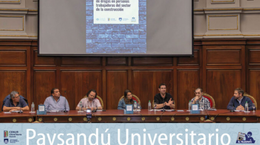 "Diagnóstico de salud mental y consumo de drogas en la industria de la construcción"