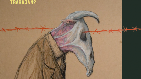 Nuevo número de la revista Materia Viva