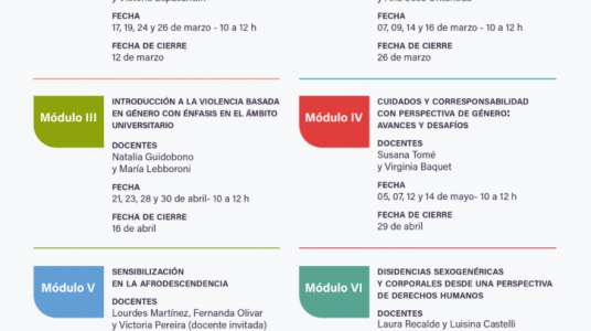 afiche de difusión de la actividad