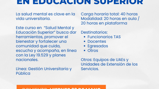 afiche de difusión de la actividad