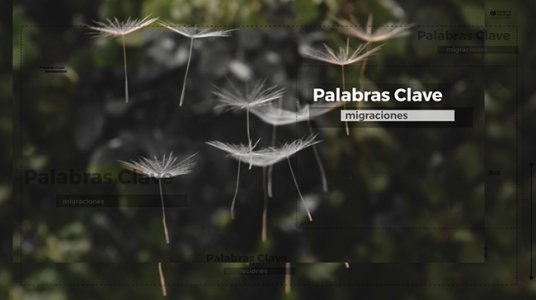 Palabras Clave: Migraciones