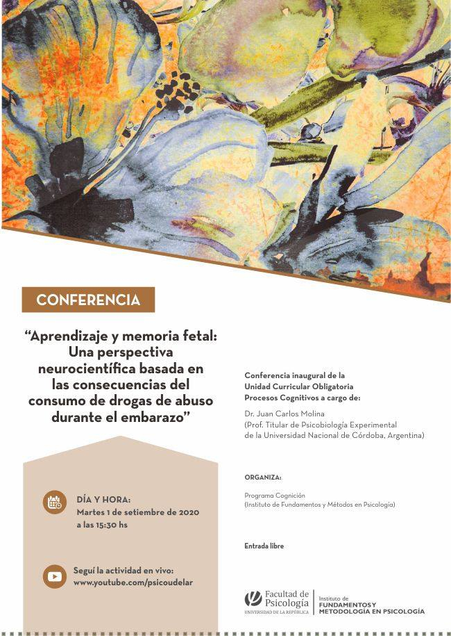 Una perspectiva neurocientífica basada en las consecuencias del consumo de drogas de abuso durante el embarazo