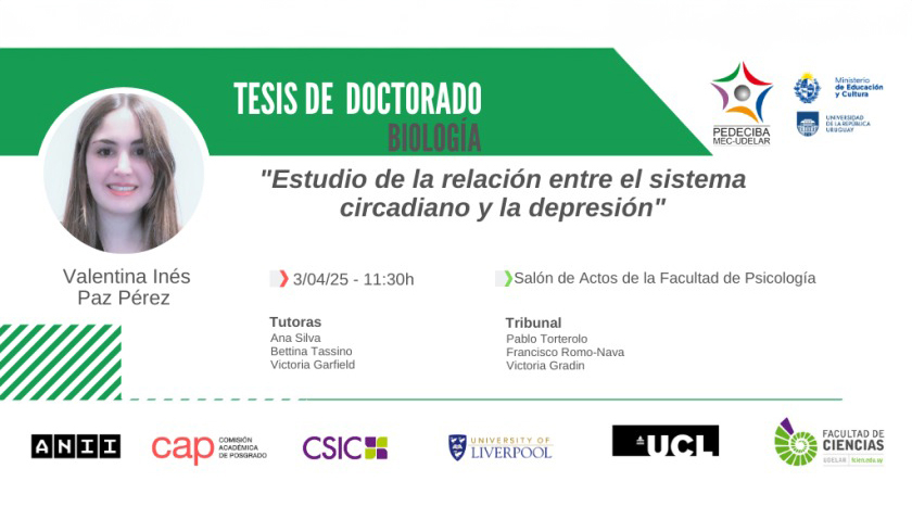 imagen de difusión de la actividad