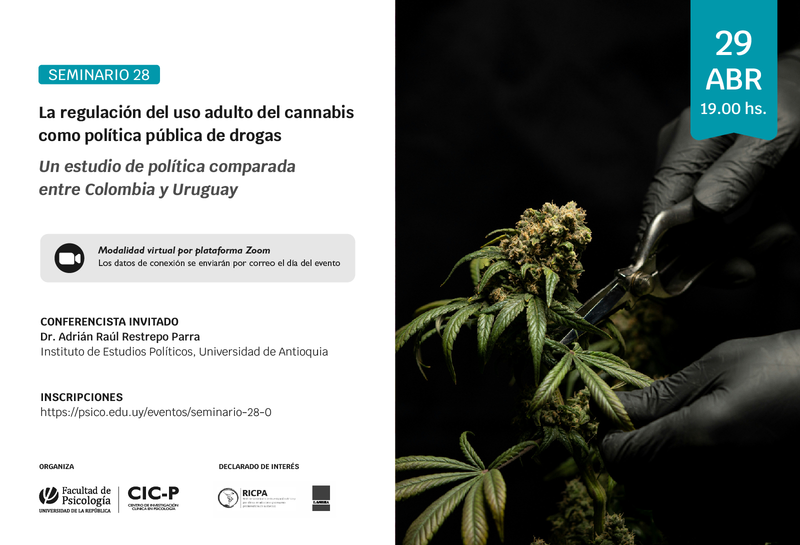afiche de la actividad