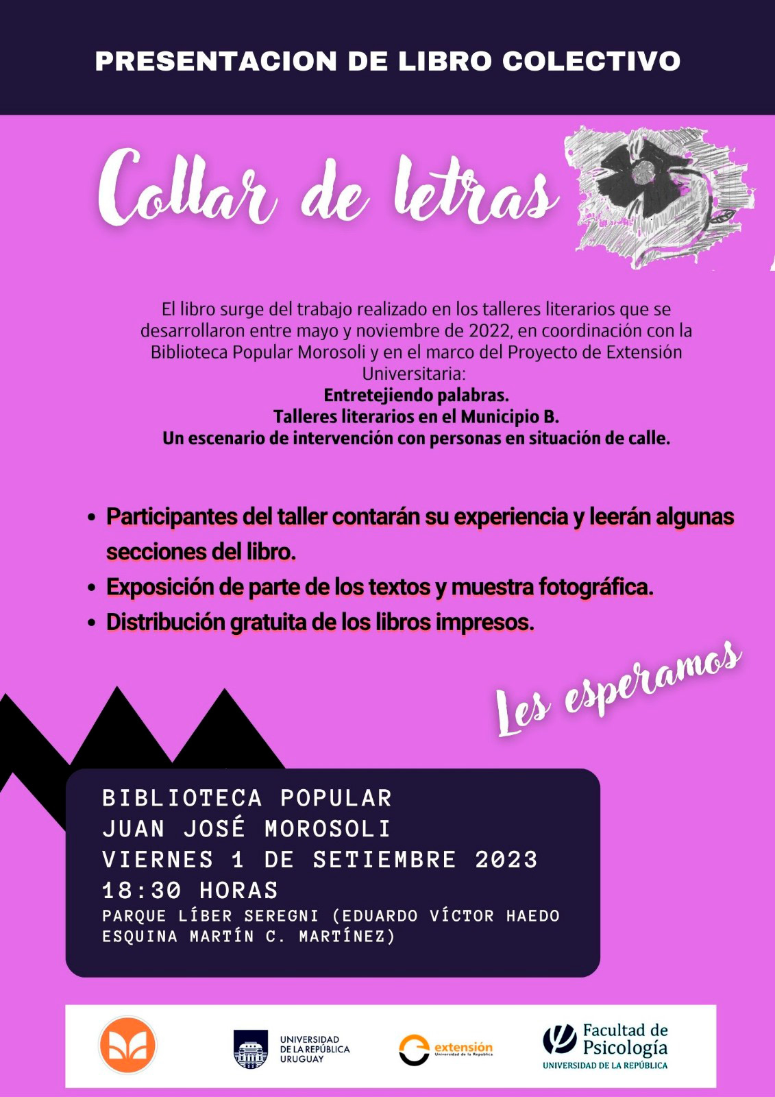 afiche de difusión de la actividad