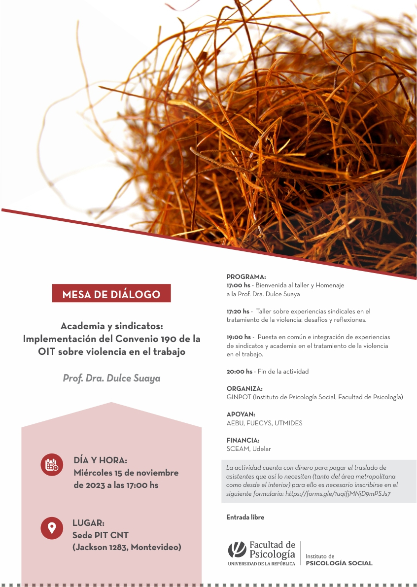 afiche de difusión de la actividad