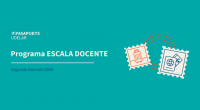escala docente complementario