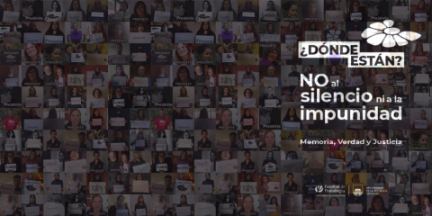 Declaración de la Facultad de Psicología de la Udelar en el marco de un nuevo 20 de mayo