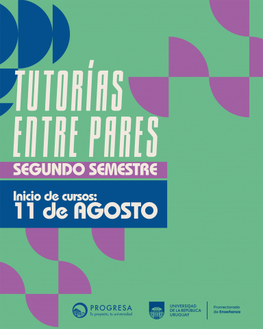 Curso Tutoría entre pares (TEP) | 2° semestre