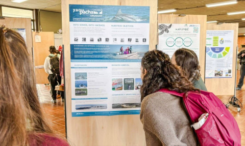 Movilidad Académica Individual: cambio de fechas en la tercera convocatoria de la modalidad 1