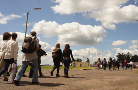 La Udelar abrirá una convocatoria para fortalecer la vinculación de becarios de posgrado con el sector productivo