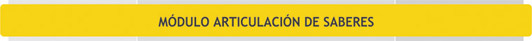 Unidades Curriculares del Módulo Articulación de saberes - Plan de Estudio 2013